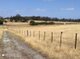 Photo - Lot 31 Two Peoples Bay Road, Kalgan WA 6330 - Image 17