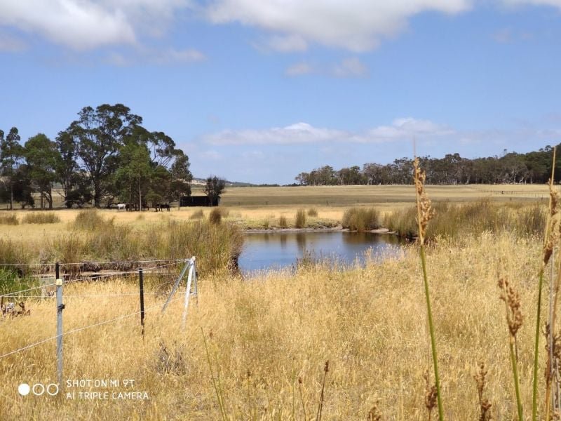 Photo - Lot 31 Two Peoples Bay Road, Kalgan WA 6330 - Image 18