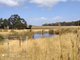 Photo - Lot 31 Two Peoples Bay Road, Kalgan WA 6330 - Image 18