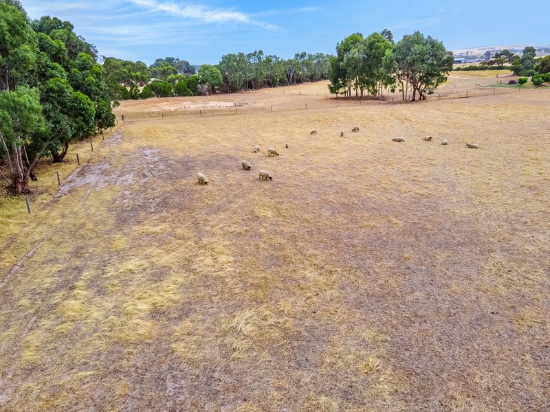 Photo - Lot 313 Wellington Road, Currency Creek SA 5214 - Image 4