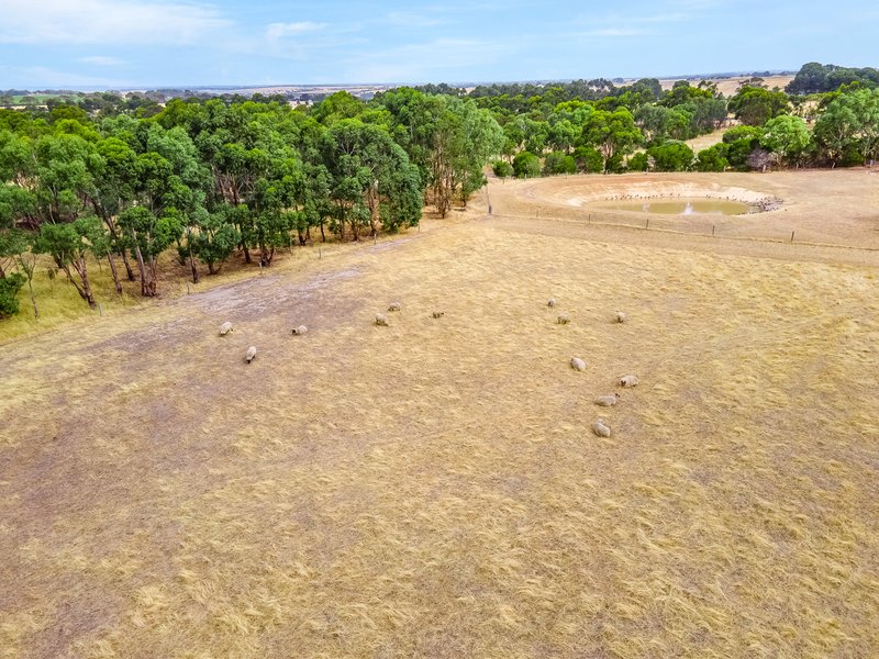 Photo - Lot 313 Wellington Road, Currency Creek SA 5214 - Image 5