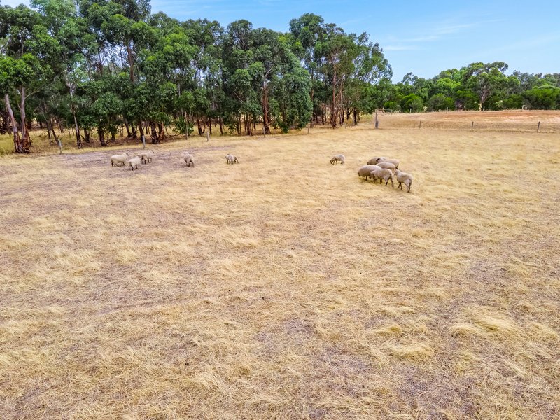 Photo - Lot 313 Wellington Road, Currency Creek SA 5214 - Image 6