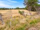 Photo - Lot 313 Wellington Road, Currency Creek SA 5214 - Image 17