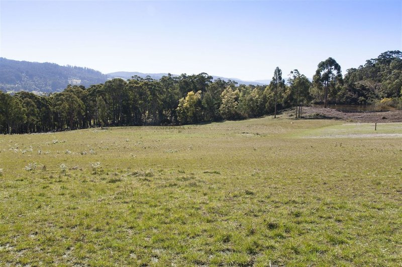 Photo - Lot 3/1640 Cygnet Coast Road, Cradoc TAS 7109 - Image 2