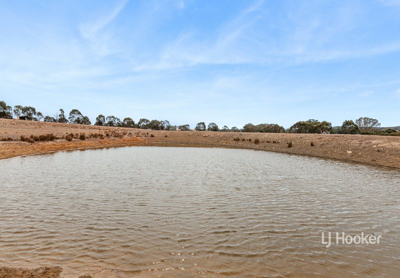 Photo - Lot 31B/420 Tallarook-Pyalong Road, Tallarook VIC 3659 - Image 4