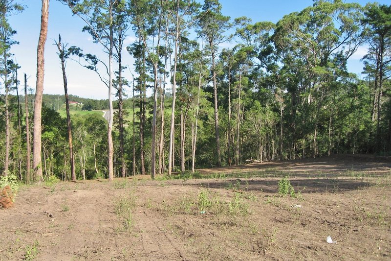 Photo - Lot 32, 79 Kangaroo Valley Road, Berry NSW 2535 - Image 4