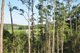 Photo - Lot 32, 79 Kangaroo Valley Road, Berry NSW 2535 - Image 5