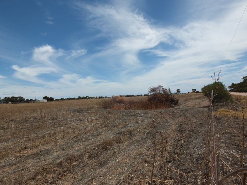 Photo - Lot 32 Ellis Road, Wallaroo SA 5556 - Image 4