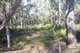 Photo - Lot 32 Lindy Drive, Rules Beach QLD 4674 - Image 10