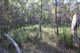 Photo - Lot 32 Lindy Drive, Rules Beach QLD 4674 - Image 16