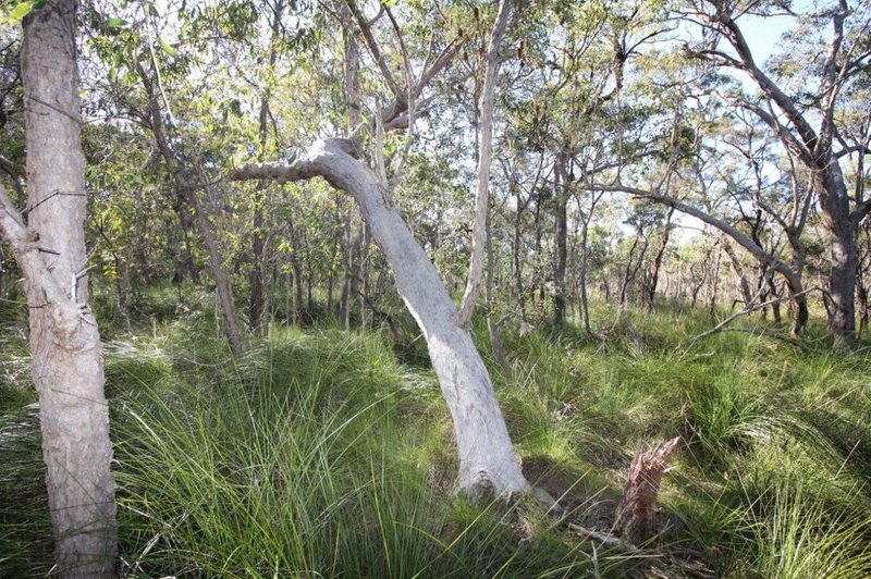 Photo - Lot 32 Lindy Drive, Rules Beach QLD 4674 - Image 18