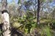 Photo - Lot 32 Lindy Drive, Rules Beach QLD 4674 - Image 21