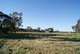 Photo - Lot 32 Ronda Avenue, Roseworthy SA 5371 - Image 4