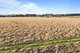 Photo - Lot 32 Wiggins Road, Mitchell Park VIC 3355 - Image 8