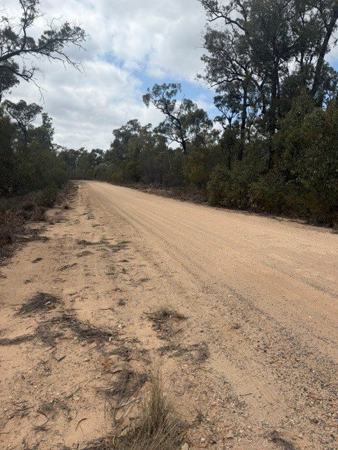Photo - Lot 32/Bay Road, Forest Ridge QLD 4357 - Image 3