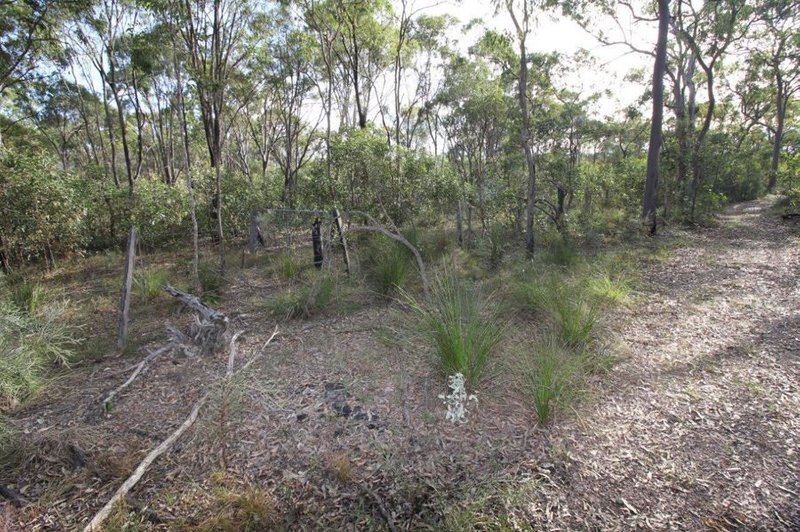 Photo - Lot 33 Cross Road, Euleilah QLD 4674 - Image 8