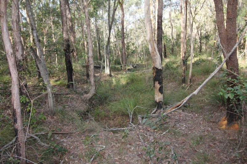 Photo - Lot 33 Cross Road, Euleilah QLD 4674 - Image 12