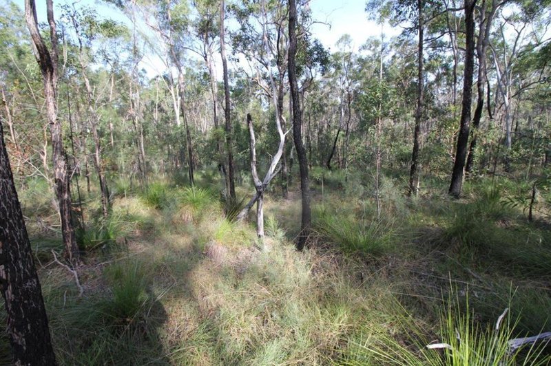 Photo - Lot 33 Cross Road, Euleilah QLD 4674 - Image 16