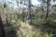 Photo - Lot 33 Cross Road, Euleilah QLD 4674 - Image 16