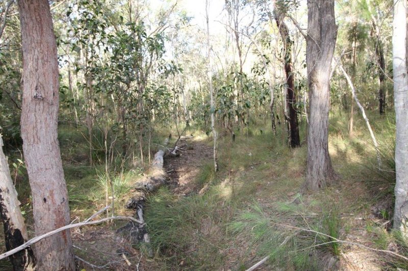 Photo - Lot 33 Cross Road, Euleilah QLD 4674 - Image 18