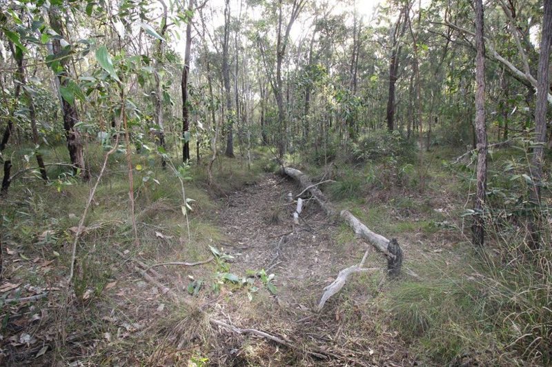 Photo - Lot 33 Cross Road, Euleilah QLD 4674 - Image 19