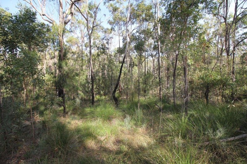 Photo - Lot 33 Cross Road, Euleilah QLD 4674 - Image 21