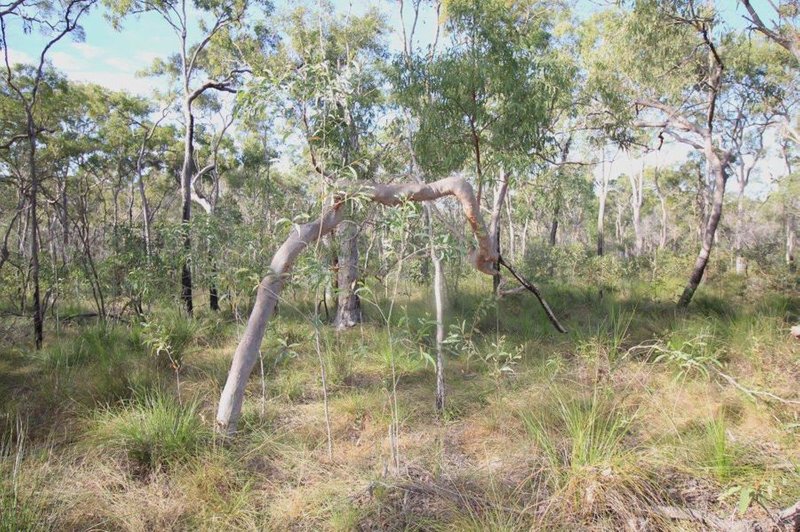 Photo - Lot 33 Cross Road, Euleilah QLD 4674 - Image 24