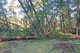 Photo - Lot 33 Egans Road, Nelligen NSW 2536 - Image 1