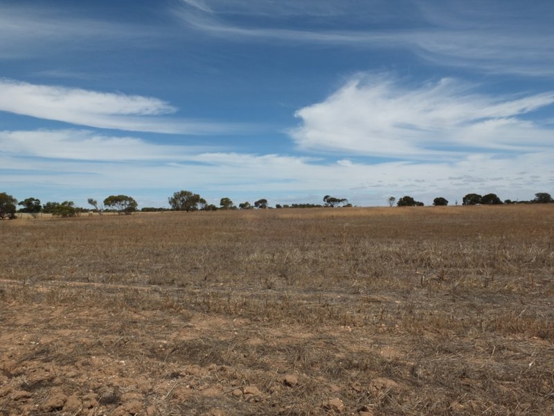 Photo - Lot 33 Ellis Road, Wallaroo SA 5556 - Image 6