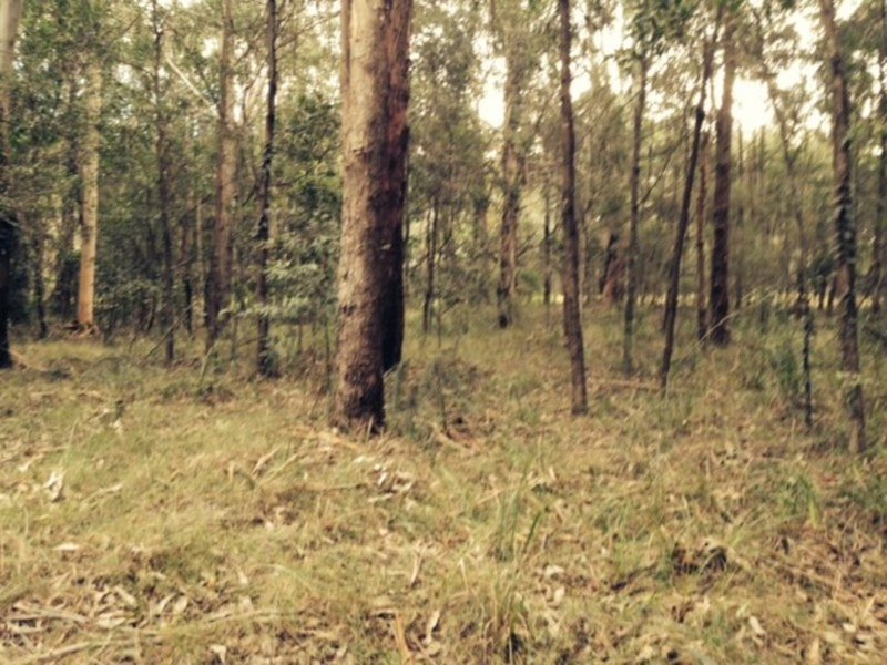 Photo - Lot 33 Inglewood Cresent , Tomerong NSW 2540 - Image 5