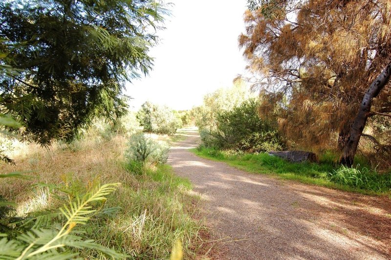 Photo - Lot 33 Pardolote Crescent, St Leonards VIC 3223 - Image 15