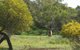 Photo - Lot 33 Rose Street, Isseka WA 6535 - Image 1