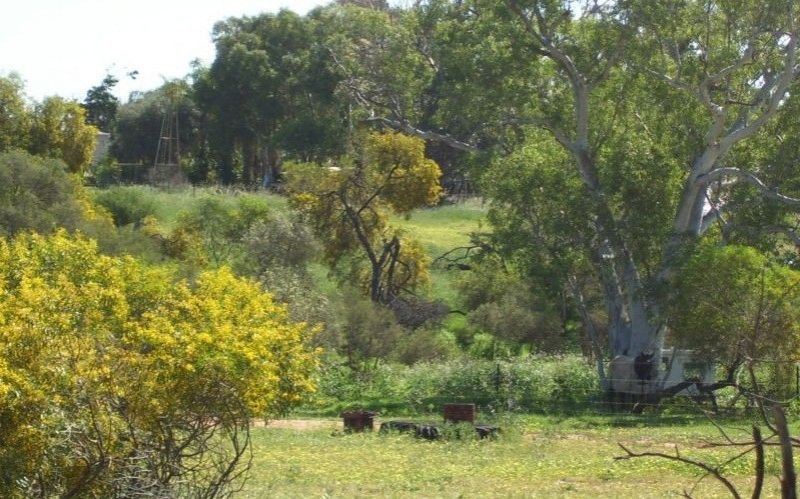 Photo - Lot 33 Rose Street, Isseka WA 6535 - Image 16