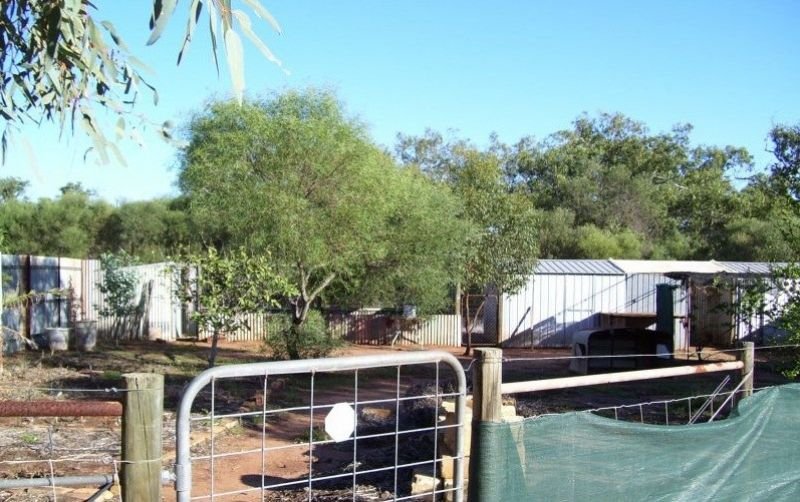 Photo - Lot 33 Rose Street, Isseka WA 6535 - Image 17