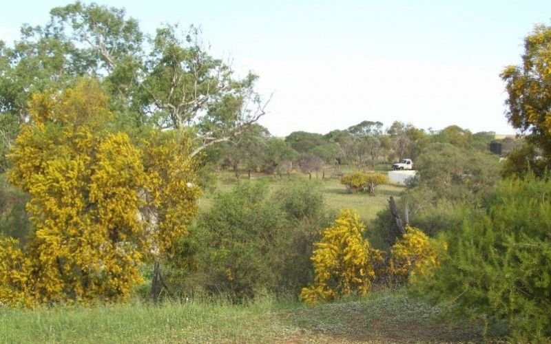 Photo - Lot 33 Rose Street, Isseka WA 6535 - Image 21