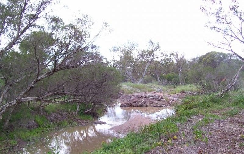 Photo - Lot 33 Rose Street, Isseka WA 6535 - Image 23