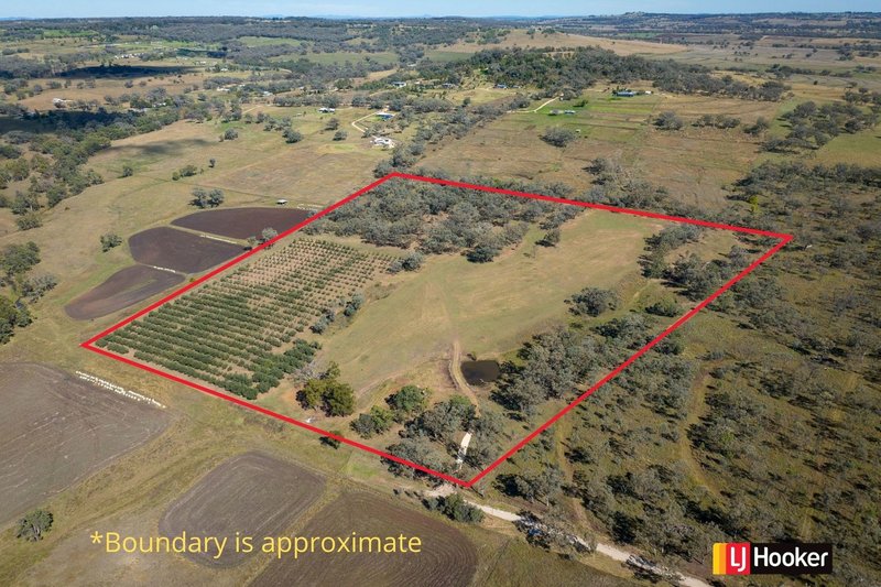 Photo - Lot 3/37 Palaroo Lane, Inverell NSW 2360 - Image 1
