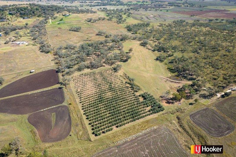 Photo - Lot 3/37 Palaroo Lane, Inverell NSW 2360 - Image 2