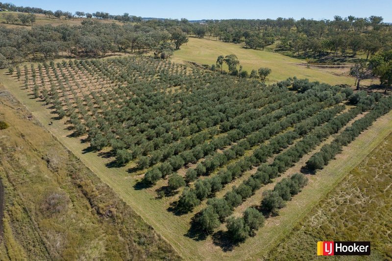 Photo - Lot 3/37 Palaroo Lane, Inverell NSW 2360 - Image 5