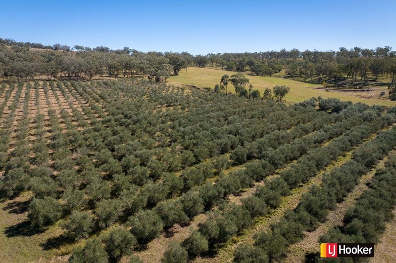 Photo - Lot 3/37 Palaroo Lane, Inverell NSW 2360 - Image 8