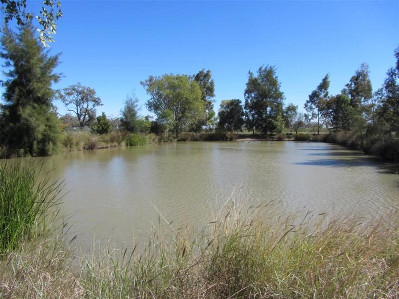 Photo - Lot 34 Vitonga Road, Moree NSW 2400 - Image 5