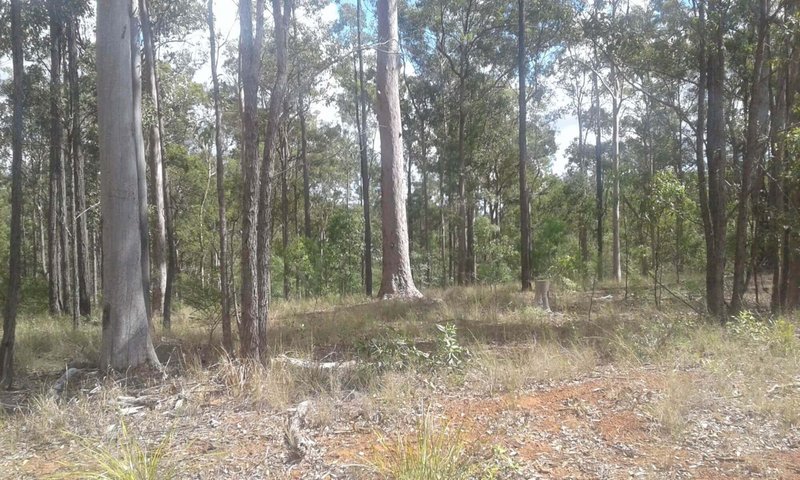 Photo - Lot 344 Bradford Road, Glenwood QLD 4570 - Image 2