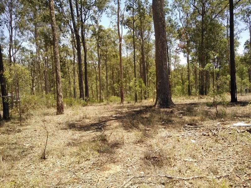 Photo - Lot 344 Bradford Road, Glenwood QLD 4570 - Image 3