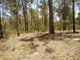 Photo - Lot 344 Bradford Road, Glenwood QLD 4570 - Image 3