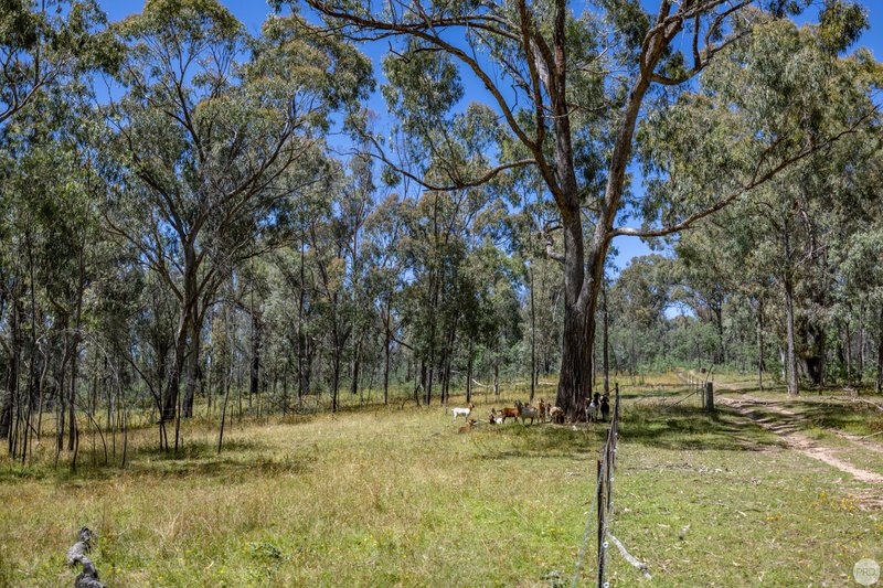 Photo - Lot 34/DP755853 Walteela Rd , Tumbarumba NSW 2653 - Image 17