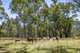 Photo - Lot 34/DP755853 Walteela Rd , Tumbarumba NSW 2653 - Image 18