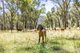 Photo - Lot 34/DP755853 Walteela Rd , Tumbarumba NSW 2653 - Image 19