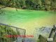 Photo - Lot 35 Jack Drive, Feluga QLD 4854 - Image 15