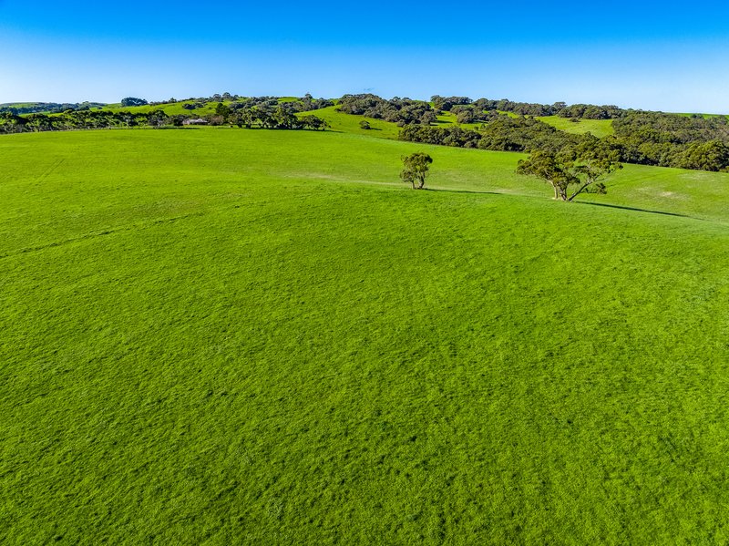 Photo - Lot 35 Lawless Lane (Via Mount Cone Road) , Myponga SA 5202 - Image 4