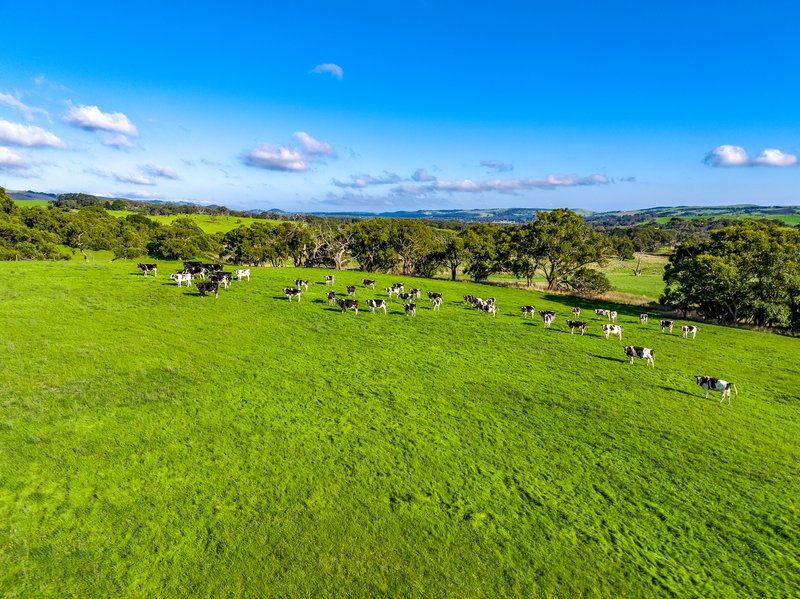 Photo - Lot 35 Lawless Lane (Via Mount Cone Road) , Myponga SA 5202 - Image 15